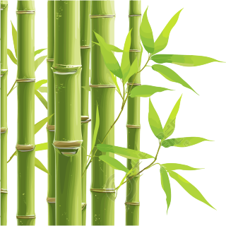 竹子插画素材