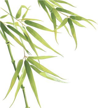 竹叶高清素材