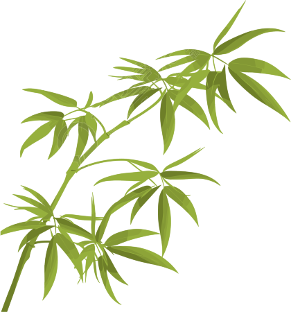竹叶插图素材