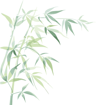 竹叶竹子插画