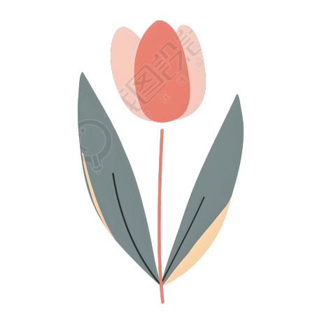 单支郁金香可爱插画