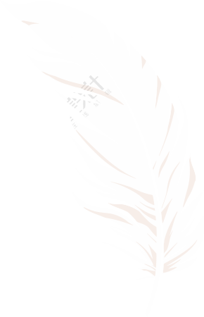 羽毛插图设计素材