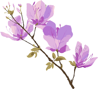 紫荆花创意设计插图