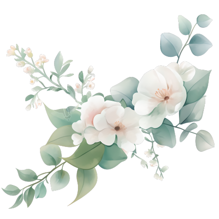 水彩植物素材