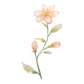水彩植物粉色小花元素
