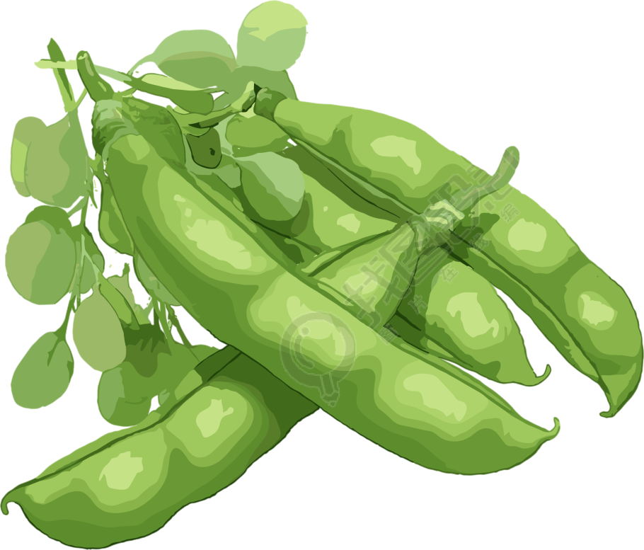 扁豆透明背景元素