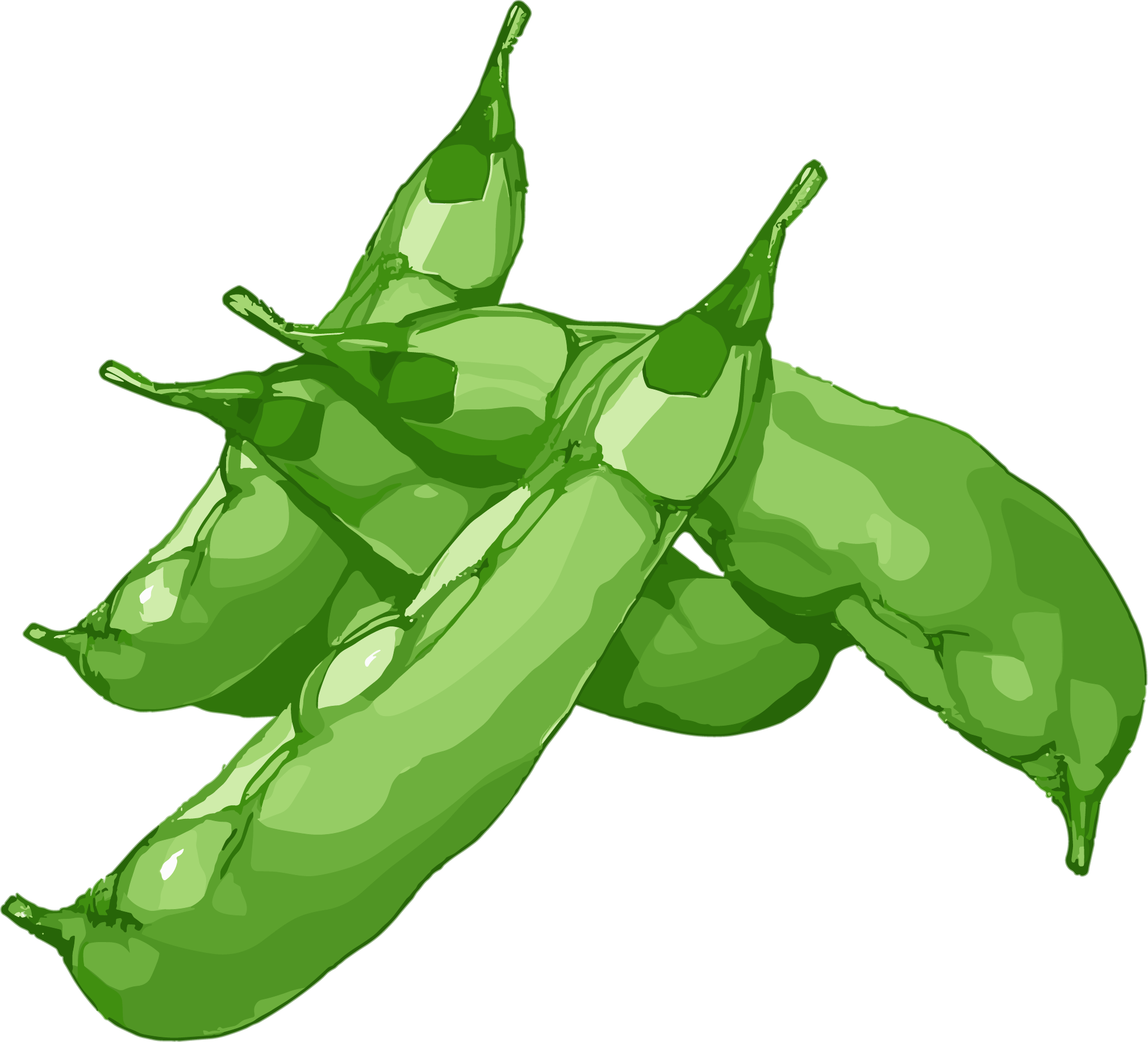 扁豆扁平插画