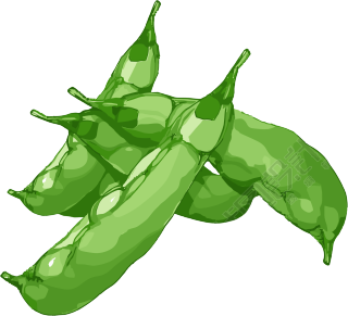 扁豆扁平插画