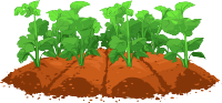 土地菜苗插图