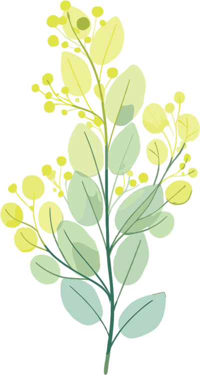 水彩植物商业使用插画