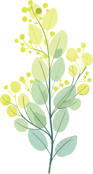 水彩植物商业使用插画