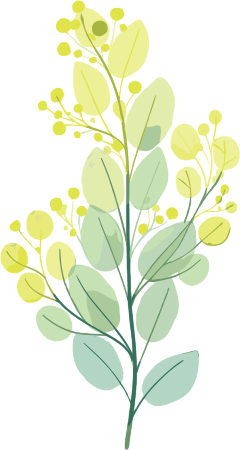 水彩植物商业使用插画
