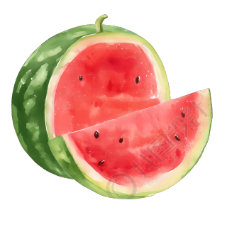 夏天西瓜水彩插图