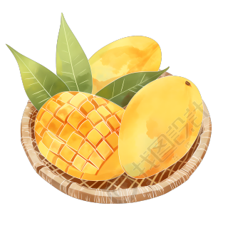 芒果夏天插图