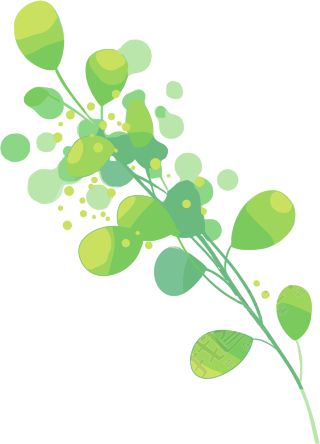 水彩植物绿叶插图
