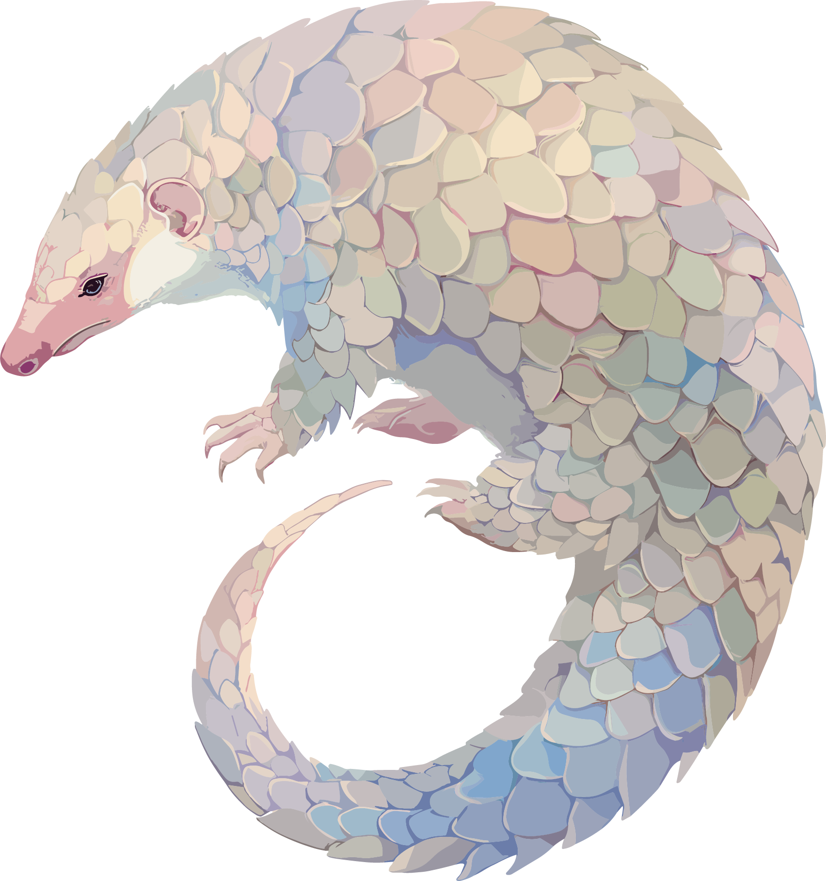 穿山甲珍稀动物插画