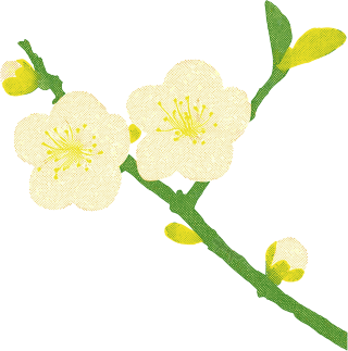 樱花水彩植物插画