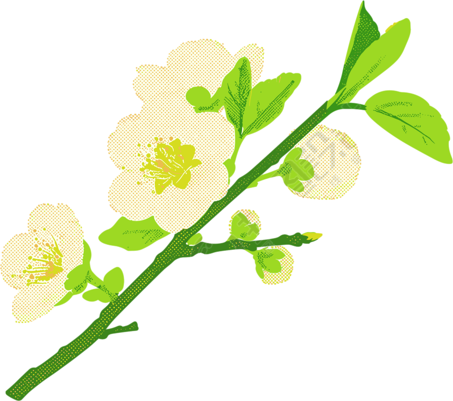 樱花水彩植物元素