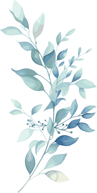 水彩植物高清图形素材