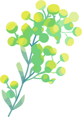 水彩植物创意插画