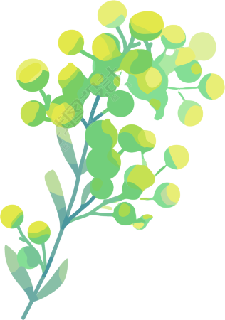 水彩植物创意插画