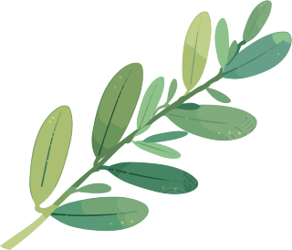 水彩植物PNG图形素材