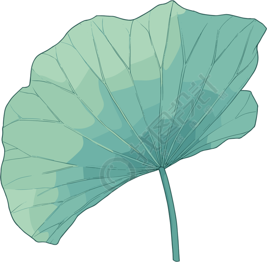 绿色荷叶夏天插画