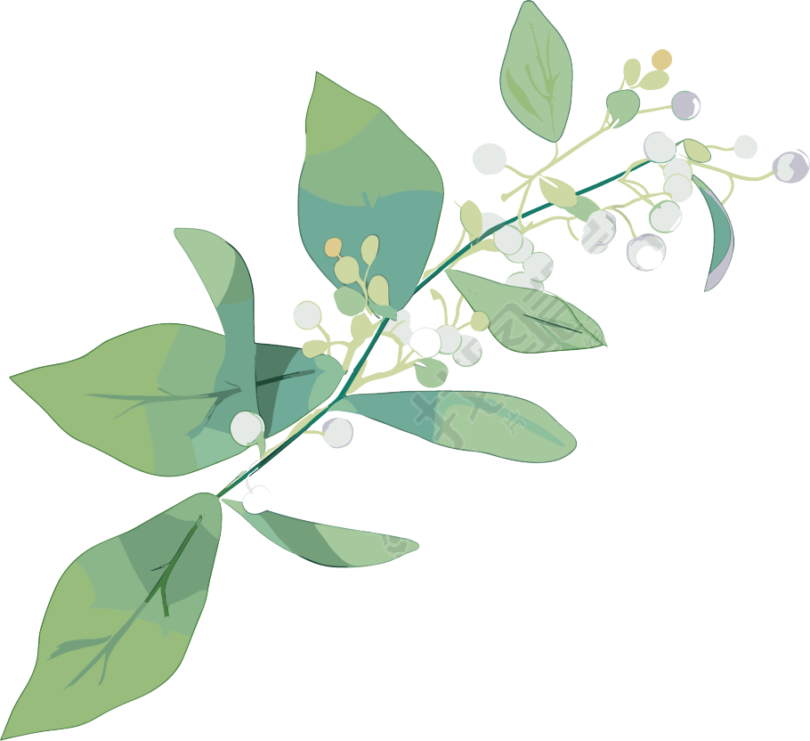 水彩植物商业设计素材