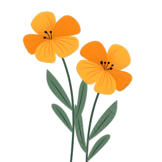 小花唯美插画