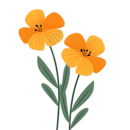 小花唯美插画