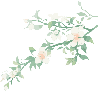 小白花水彩植物简约插图