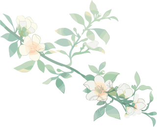 小白花水彩植物素材