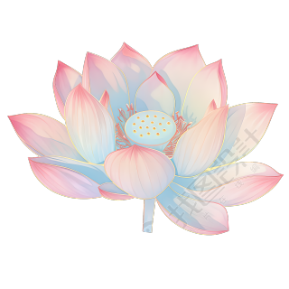 荷花夏天PNG素材