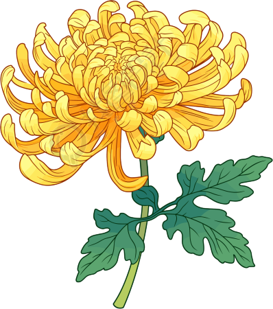 水彩菊花唯美插画