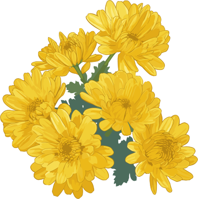 水彩菊花花束素材