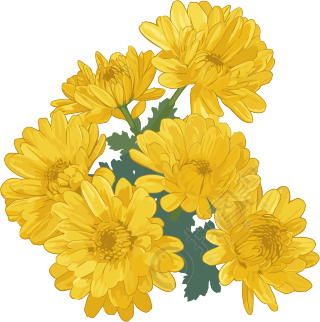 水彩菊花花束素材