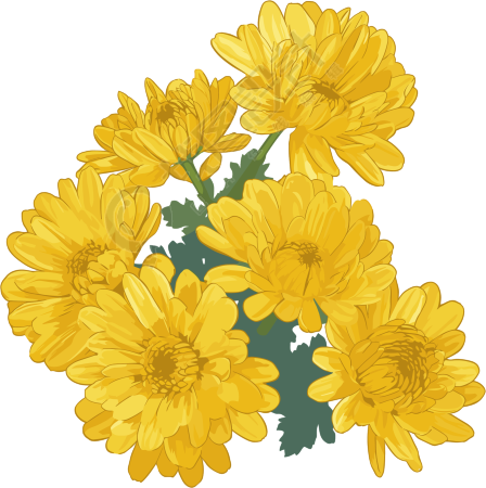水彩菊花花束素材