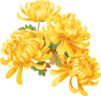 水彩菊花花瓣插画