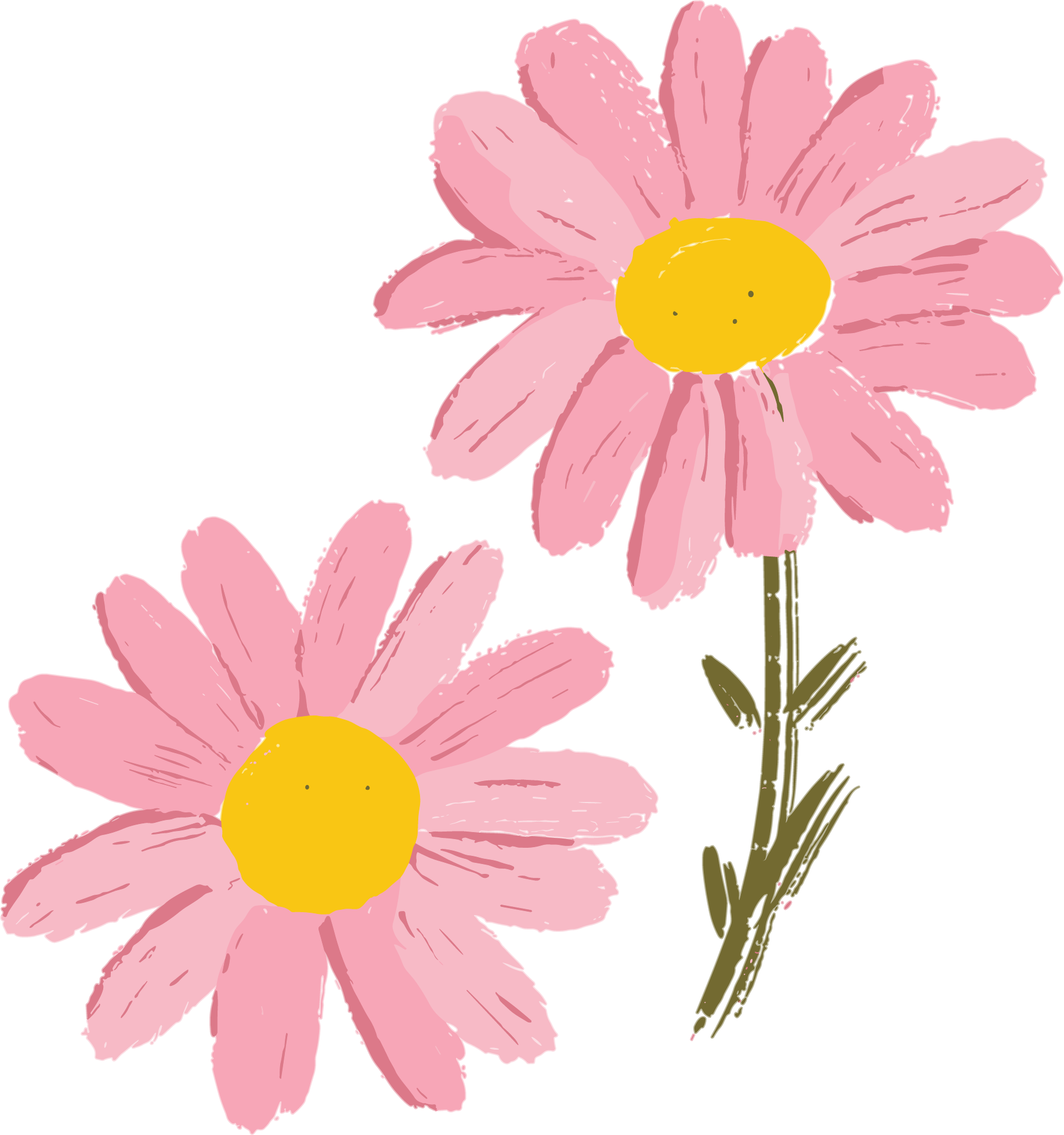 雏菊蜡笔画PNG元素