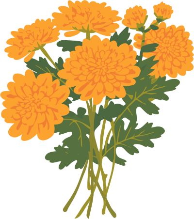 水彩菊花商用插画