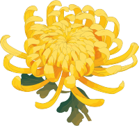水彩菊花创意设计元素