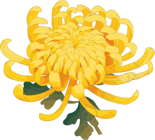 水彩菊花创意设计元素