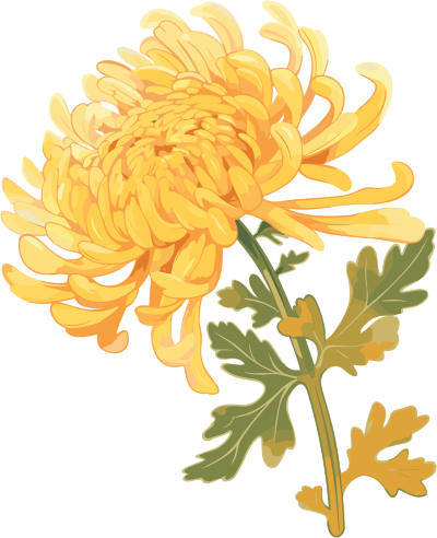水彩菊花创意插图