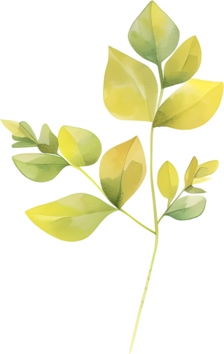 水彩植物装饰元素