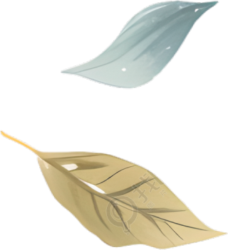 水彩叶子透明背景素材