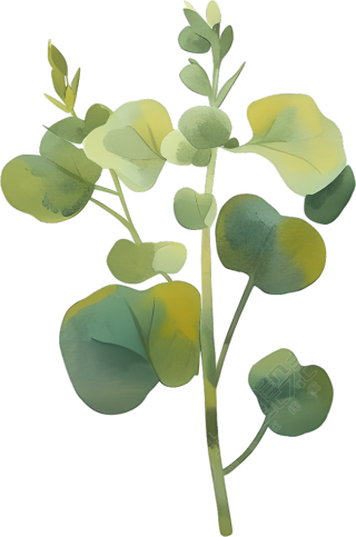 水彩植物商用插图