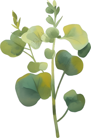 水彩植物商用插图