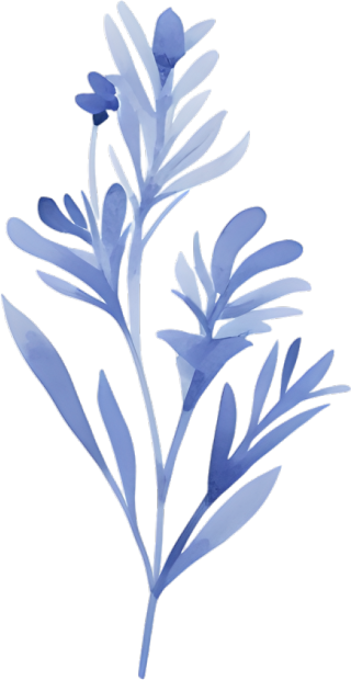 水彩叶子极简素材