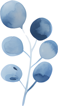 水彩叶子极简插画