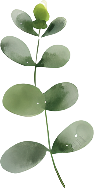 水彩植物图案元素